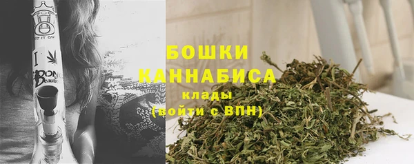 молекула духа Сосновый Бор