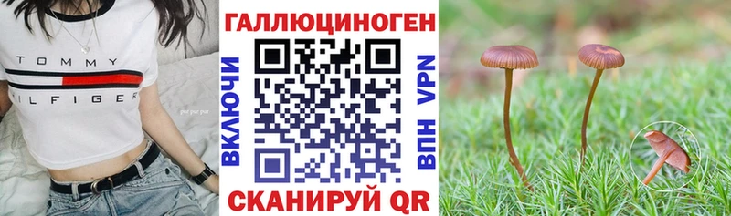 купить наркотики сайты  Рузаевка  Галлюциногенные грибы Psilocybe 